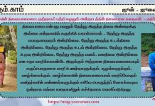 வாழ்வின் நிலையாமையை முற்றாகப் பற்றி சுழலும் அன்றாடத்தின் நிலையான கதைகள்