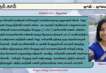 ஃப்ளாட் 404