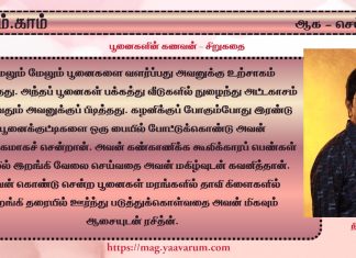 பூனைகளின் கணவன்